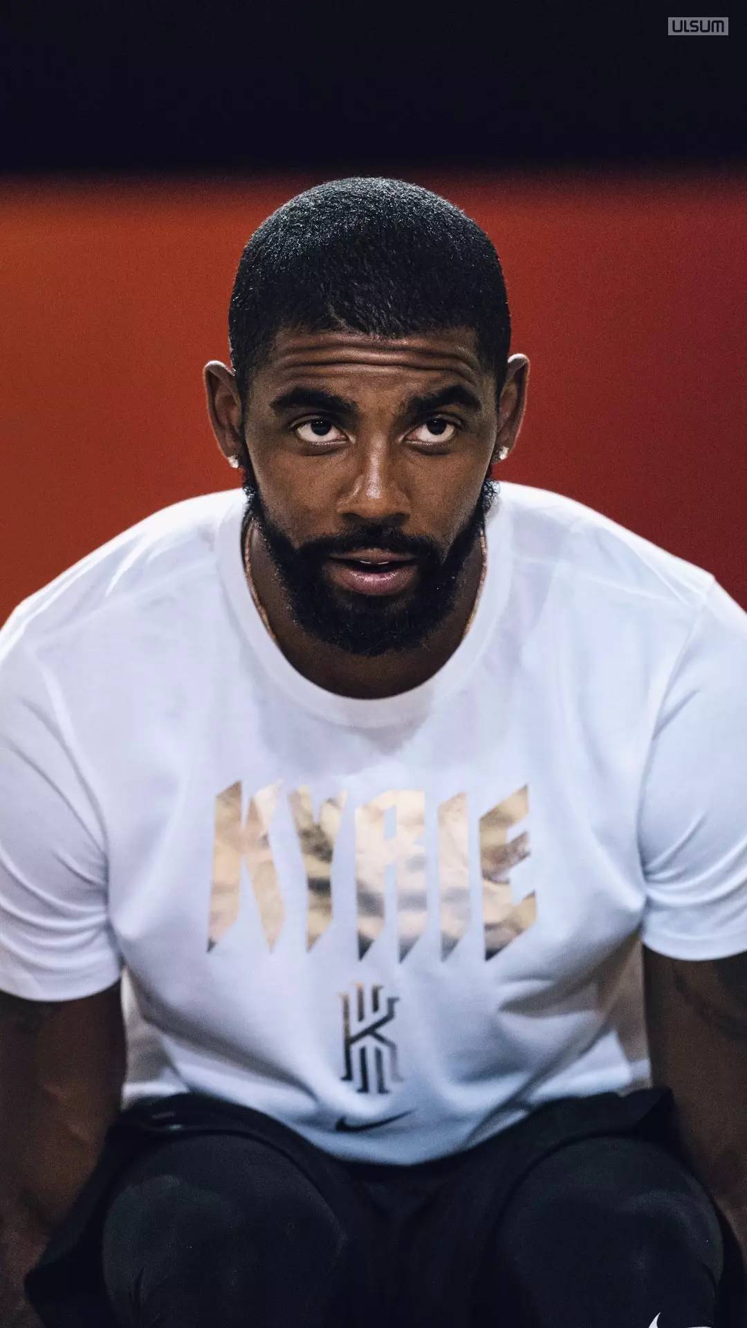 版生态中的 版生态中的